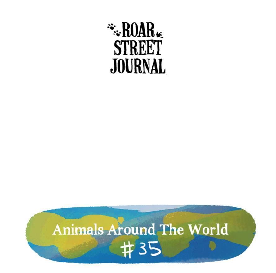 Roar Street Journal Chapter 90 page 32 - Chapter 90