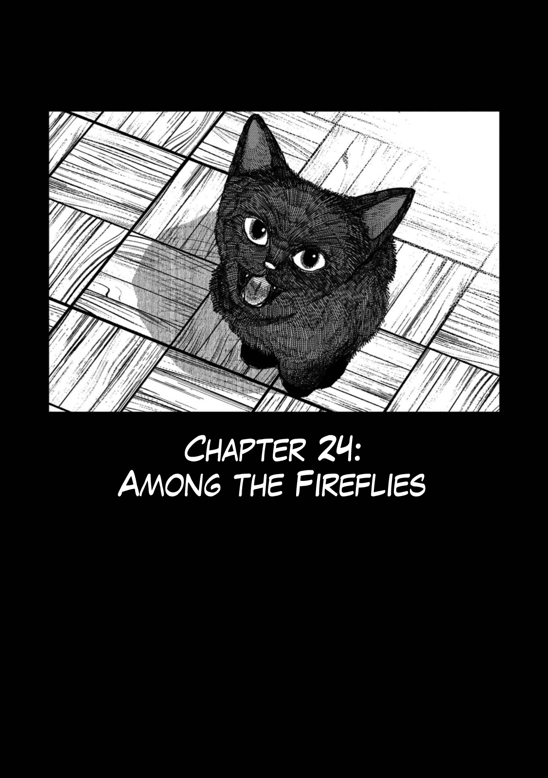 Rojica to Rakkasei Chapter 24 page 1 - Chapter 24: Among the Fireflies
