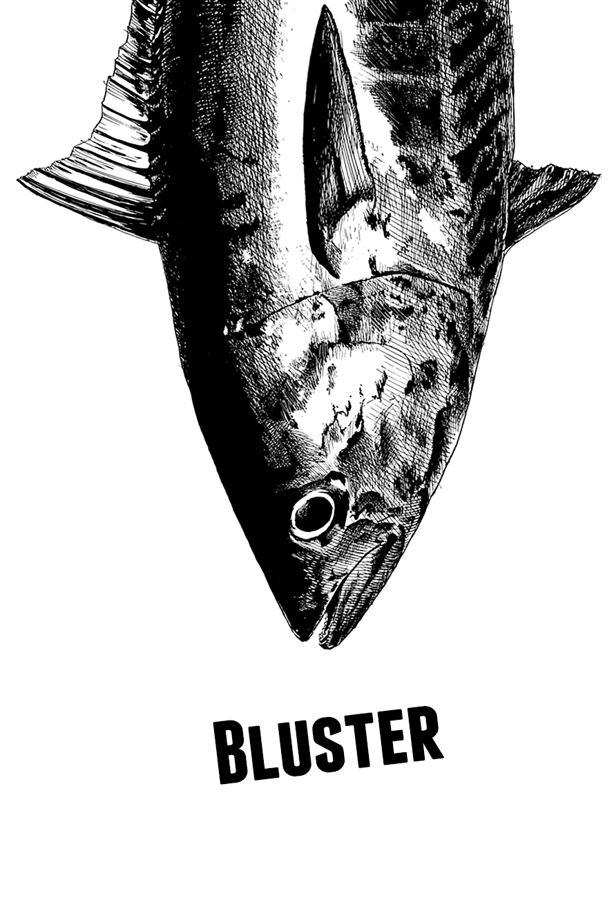 Rokudenashi Blues Chapter 281 page 4 - Chapter 281: Bluster