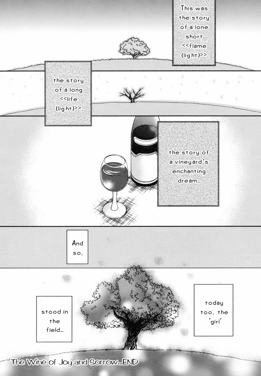 Roman (KATSURA Yukimaru) Chapter 2 page 31 - Chapter 2: The Wine of Joy and Sorrow