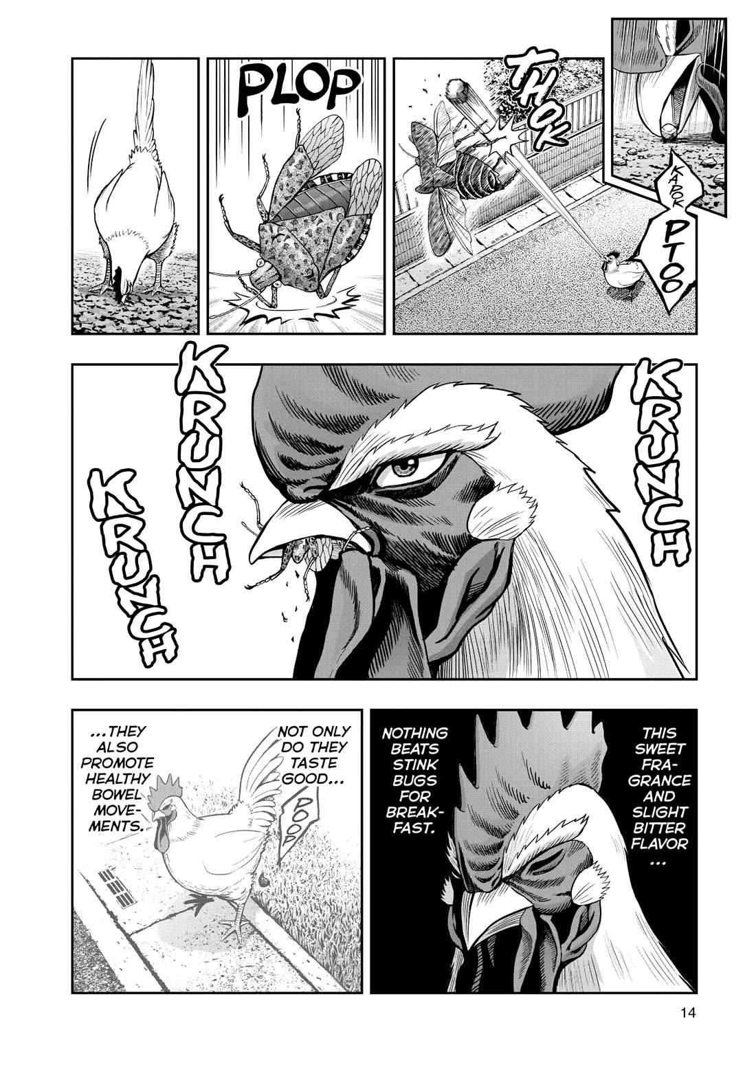 Rooster Fighter Chapter 1 page 12 - Chapter 1