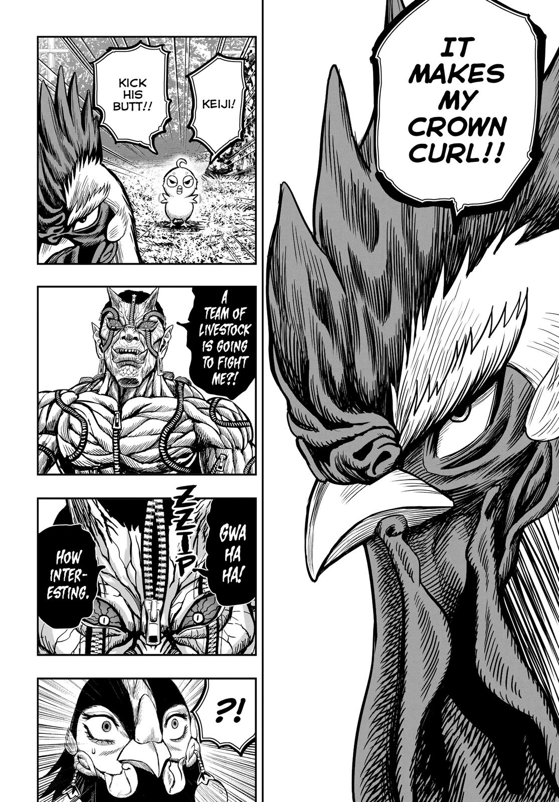 Rooster Fighter Chapter 10 page 16 - Chapter 10