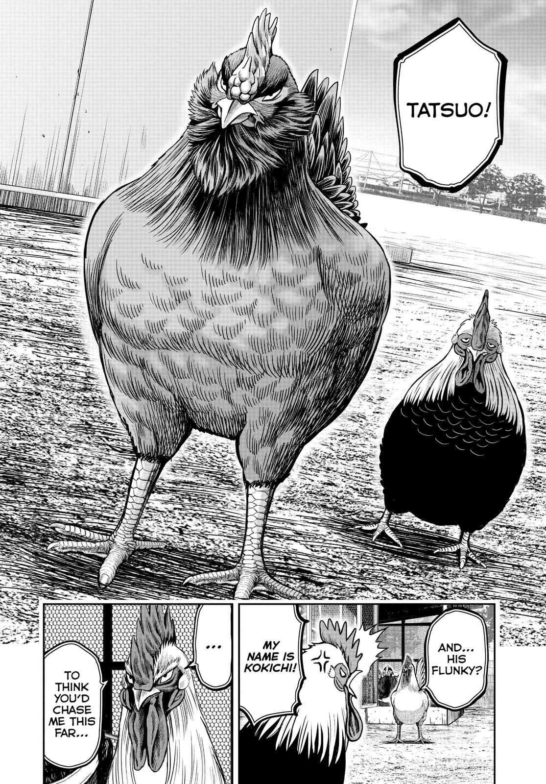 Rooster Fighter Chapter 11 page 17 - Chapter 11