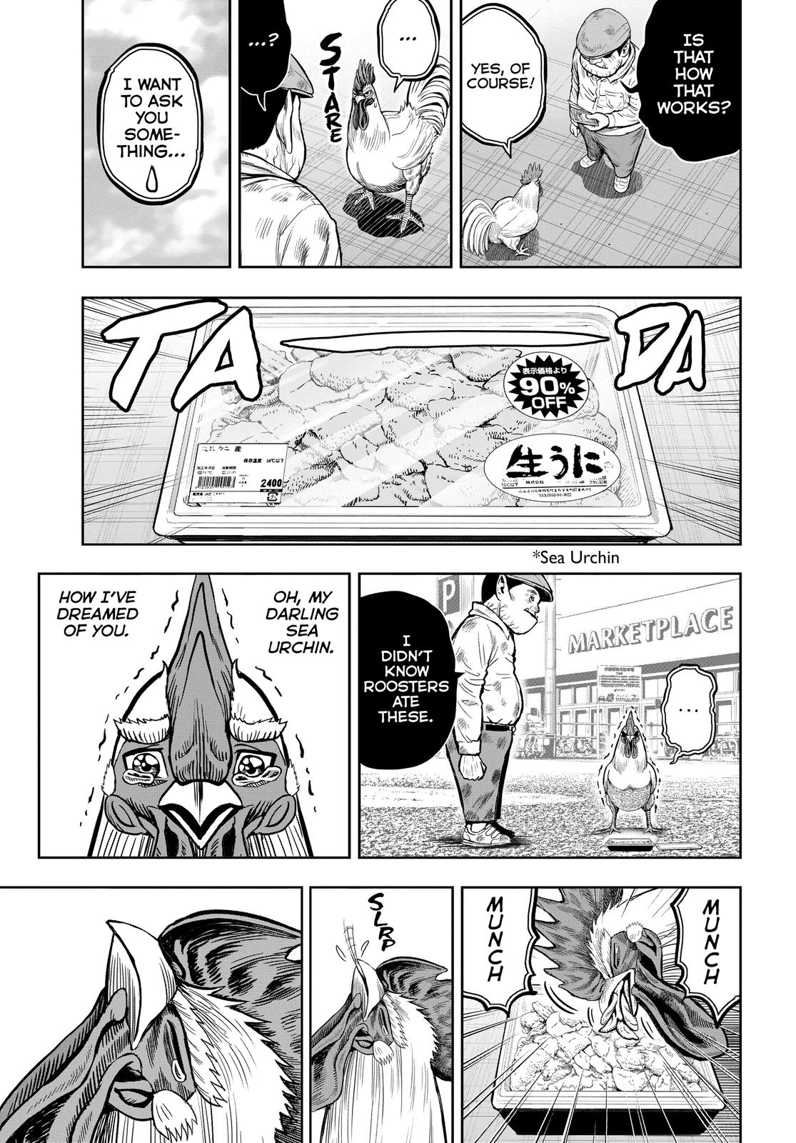 Rooster Fighter Chapter 12 page 17 - Chapter 12