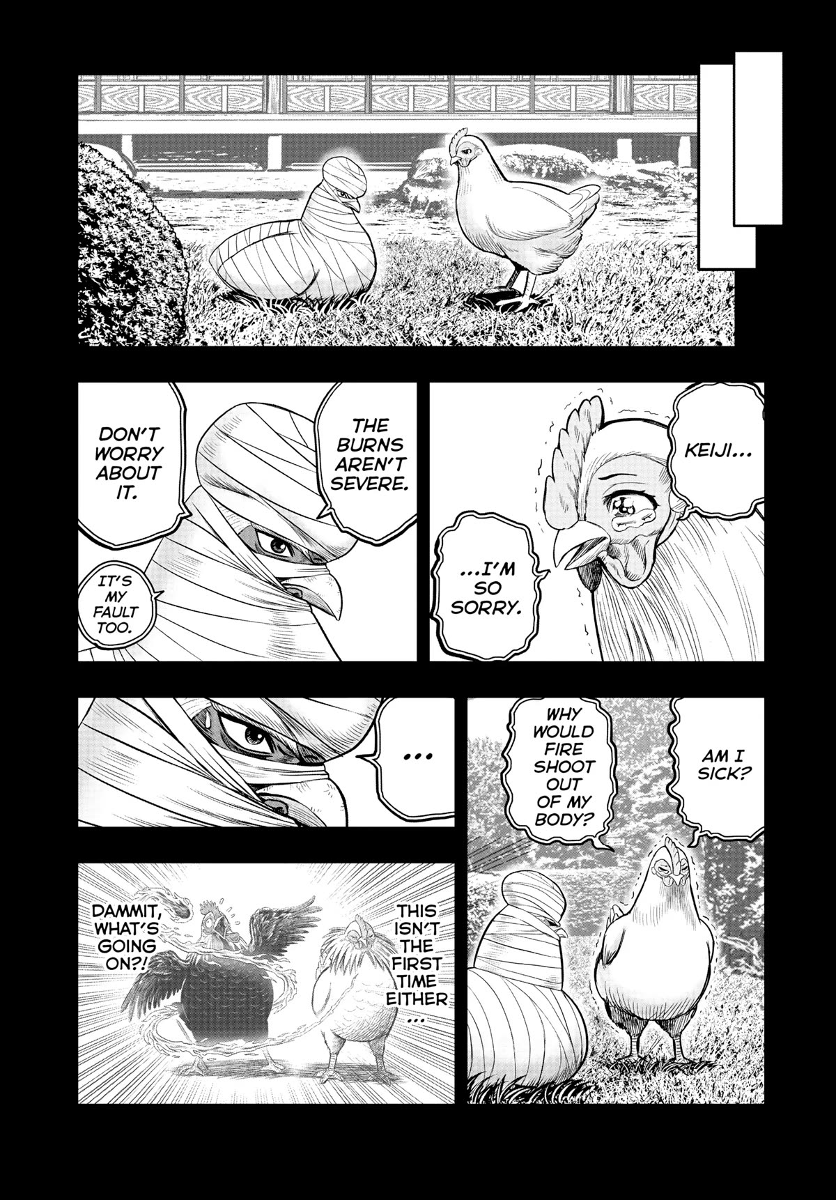 Rooster Fighter Chapter 17 page 6 - Chapter 17