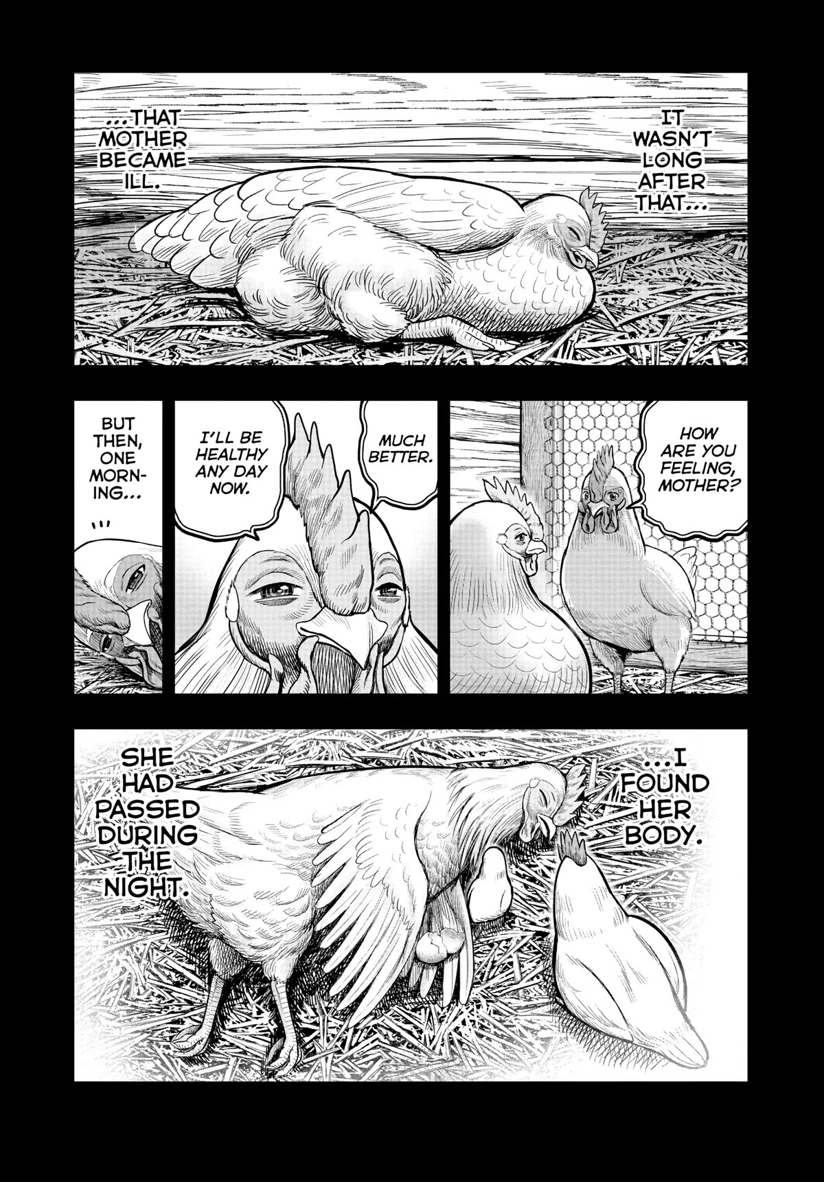 Rooster Fighter Chapter 19 page 20 - Chapter 19