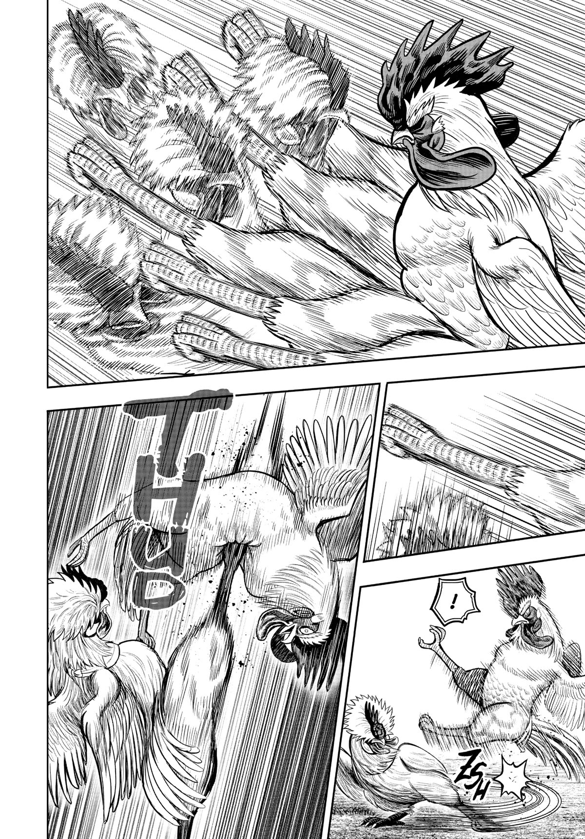 Rooster Fighter Chapter 19 page 32 - Chapter 19