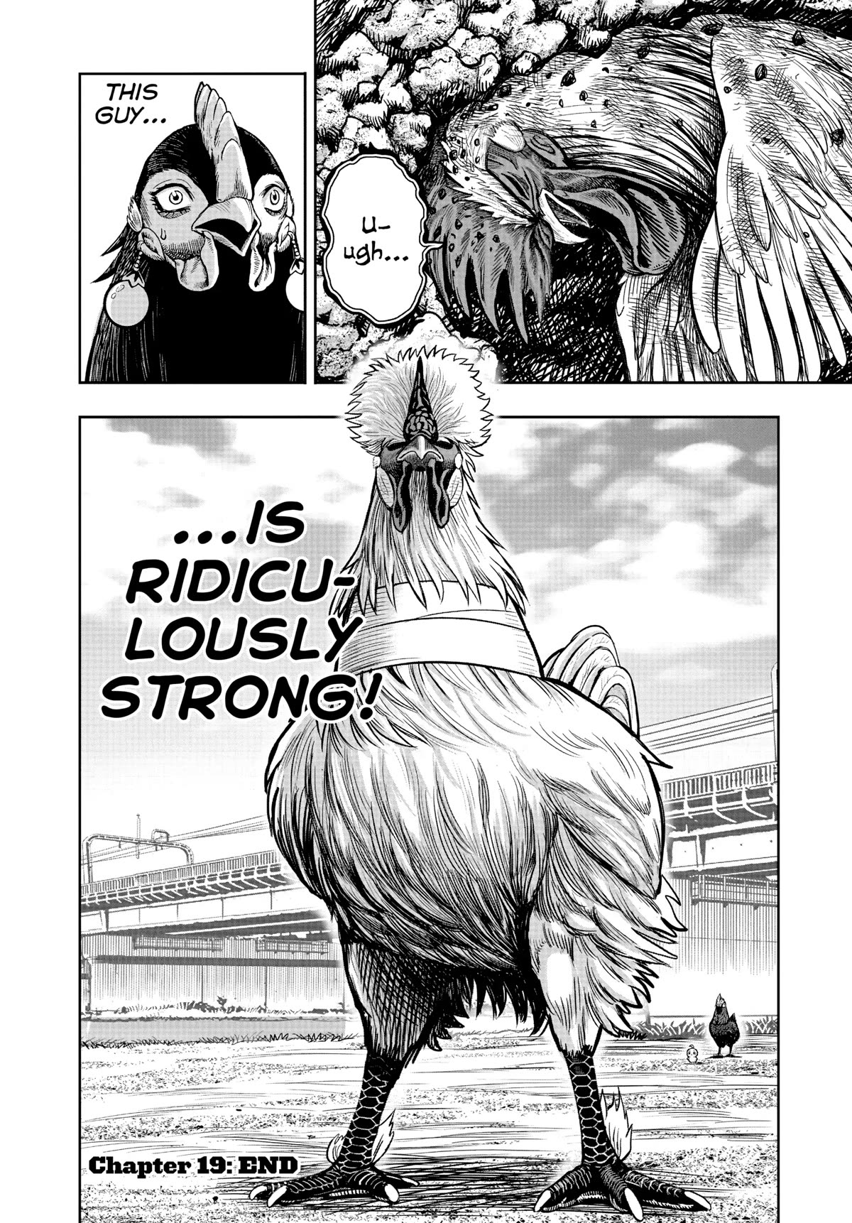 Rooster Fighter Chapter 19 page 39 - Chapter 19