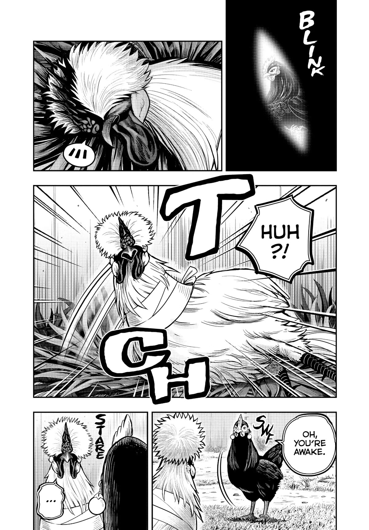 Rooster Fighter Chapter 19 page 4 - Chapter 19