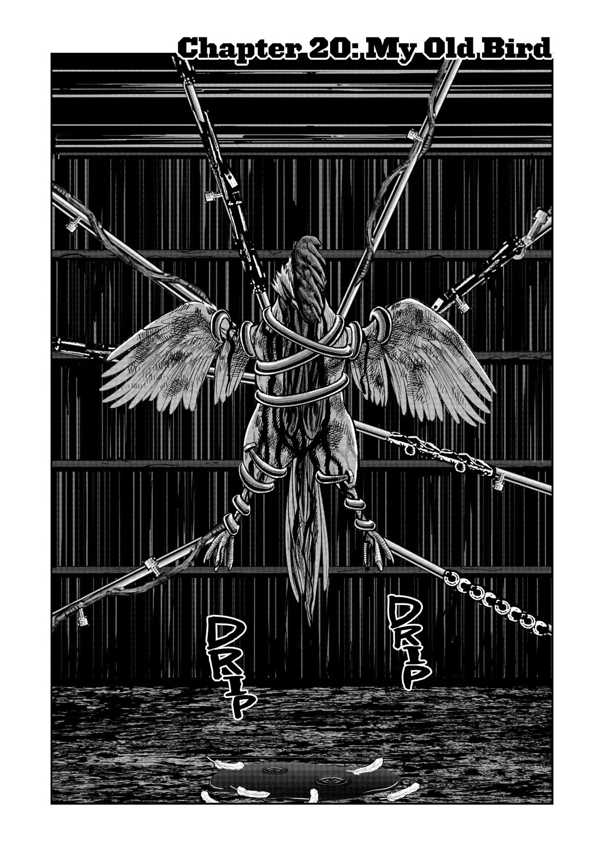 Rooster Fighter Chapter 20 page 2 - Chapter 20