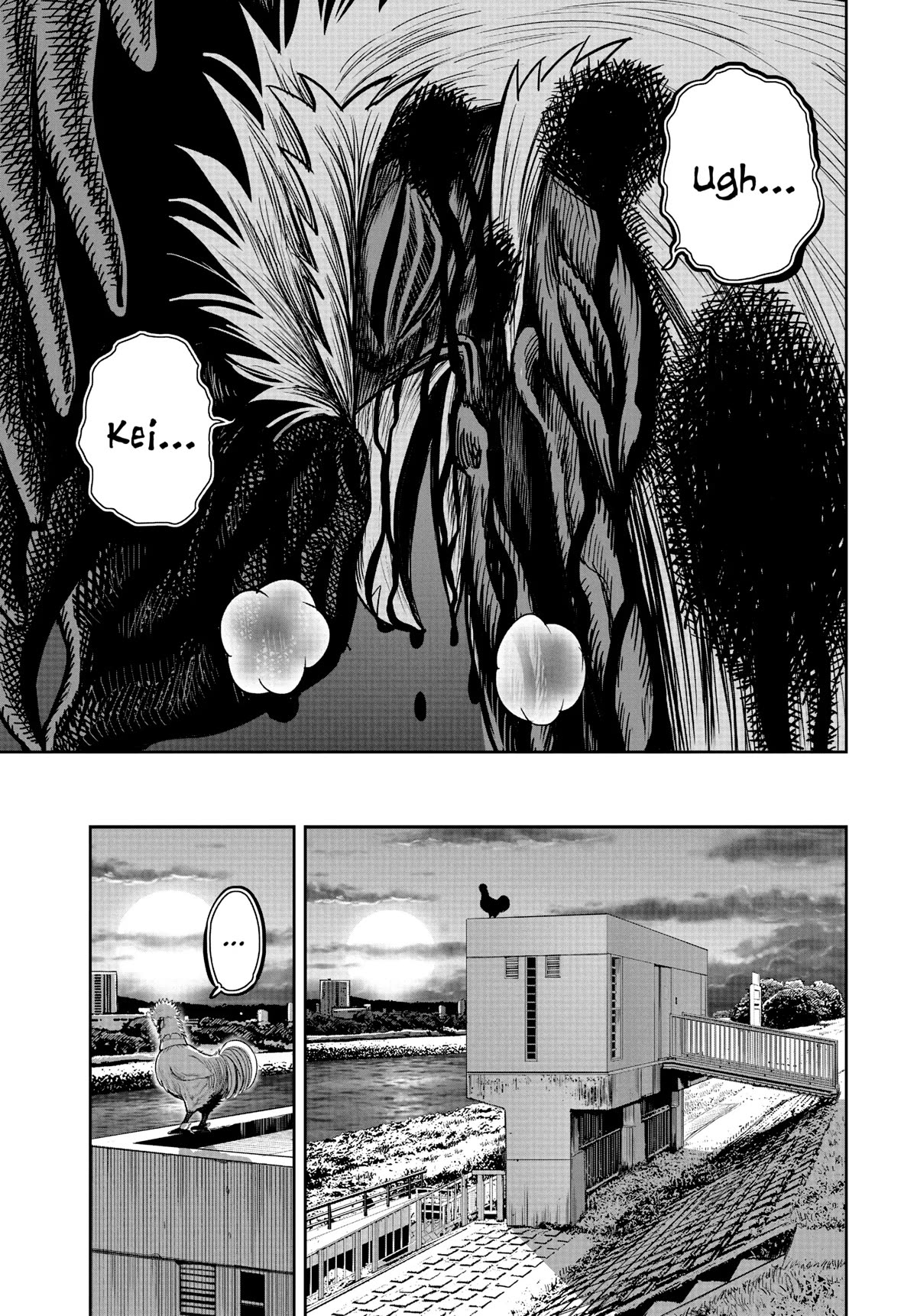 Rooster Fighter Chapter 20 page 3 - Chapter 20