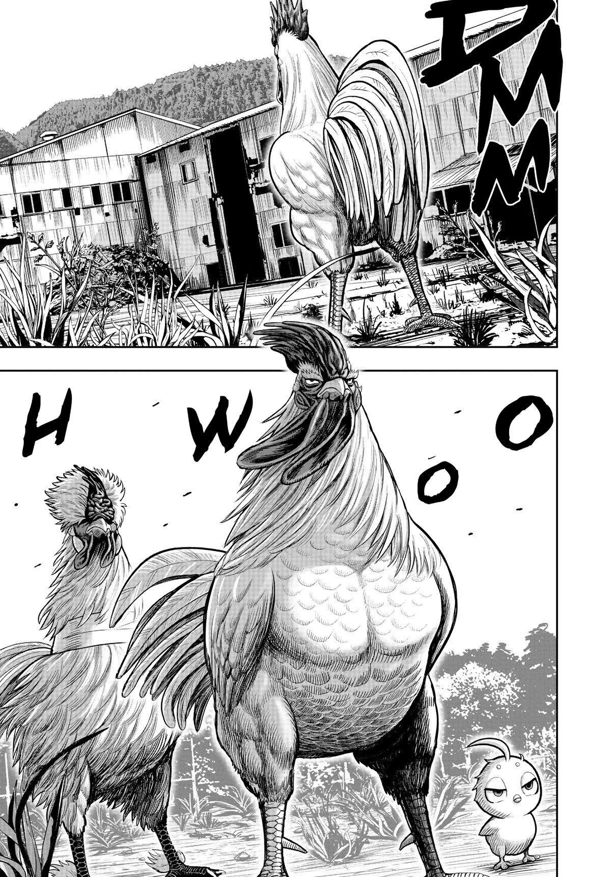 Rooster Fighter Chapter 21 page 37 - Chapter 21
