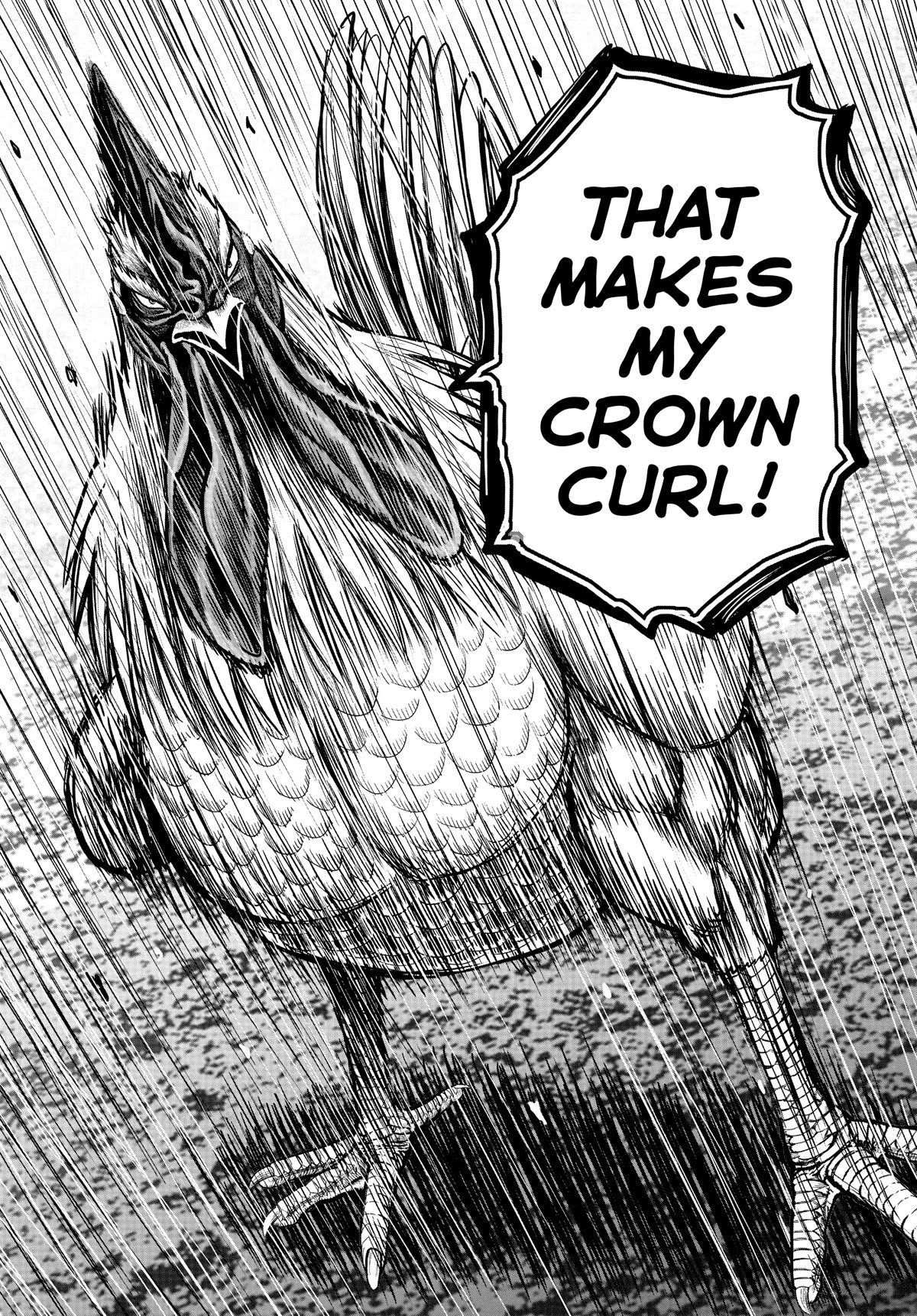 Rooster Fighter Chapter 22 page 13 - Chapter 22