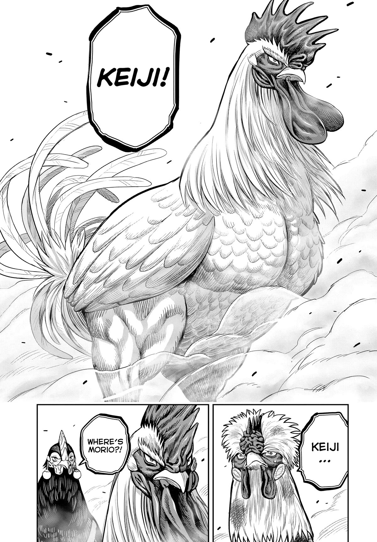 Rooster Fighter Chapter 24 page 20 - Chapter 24
