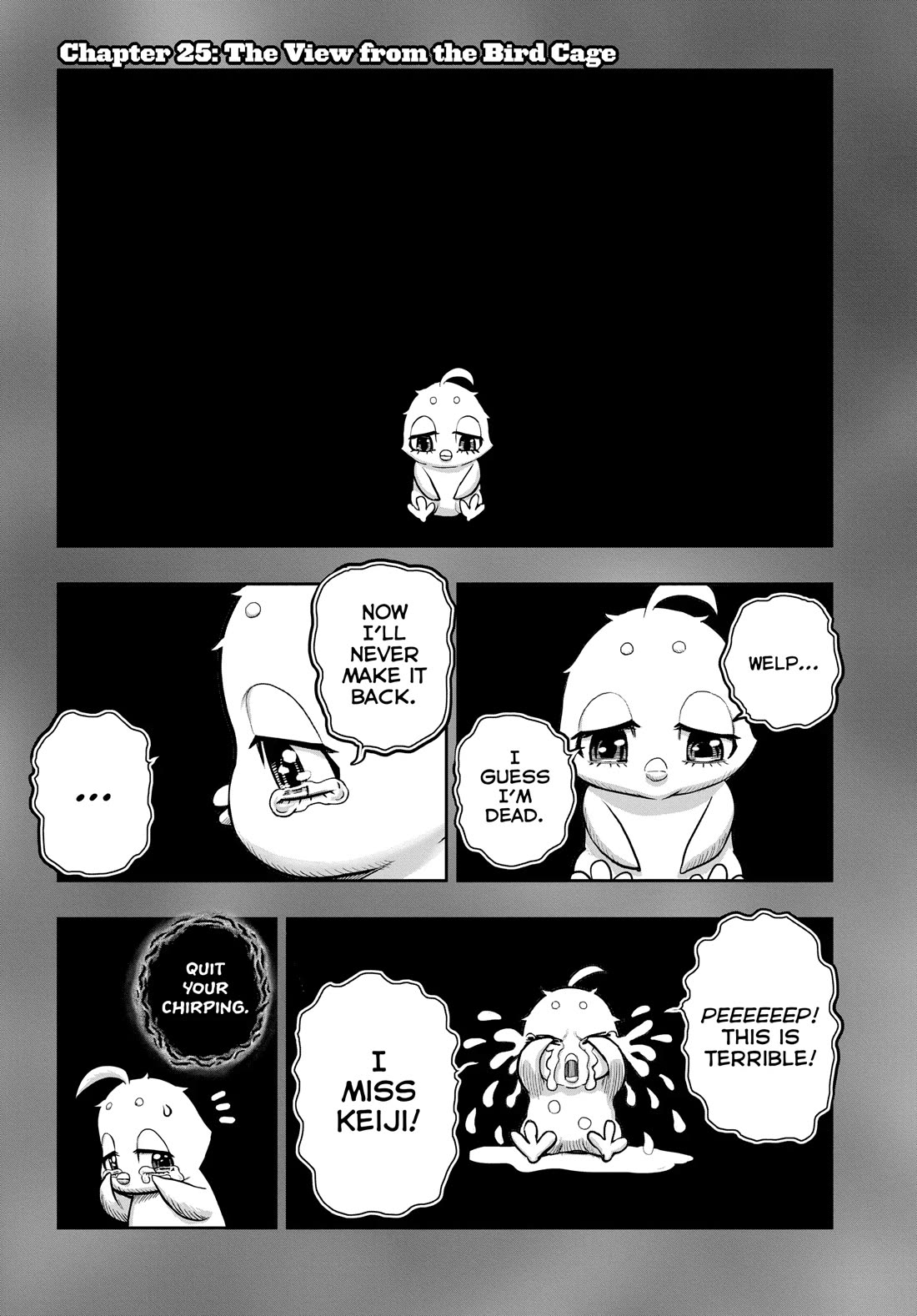 Rooster Fighter Chapter 25 page 2 - Chapter 25