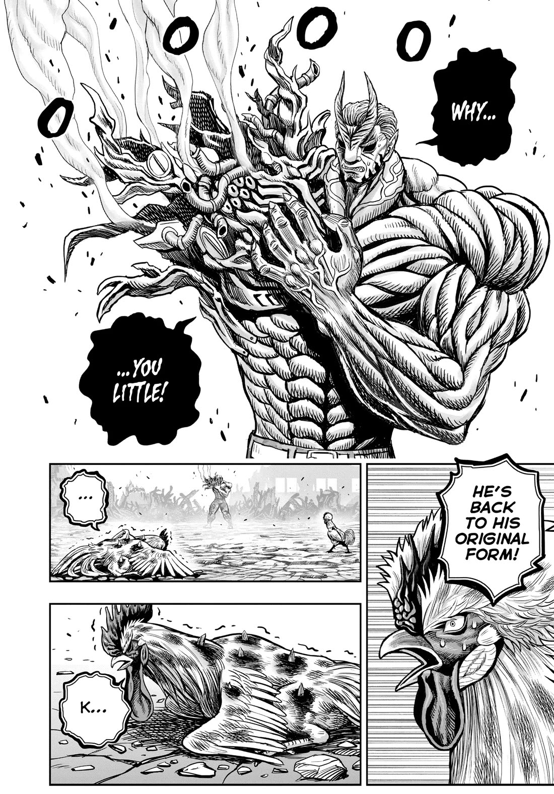 Rooster Fighter Chapter 25 page 51 - Chapter 25