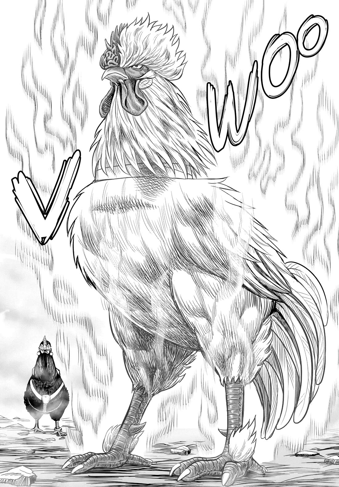 Rooster Fighter Chapter 27 page 50 - Chapter 27