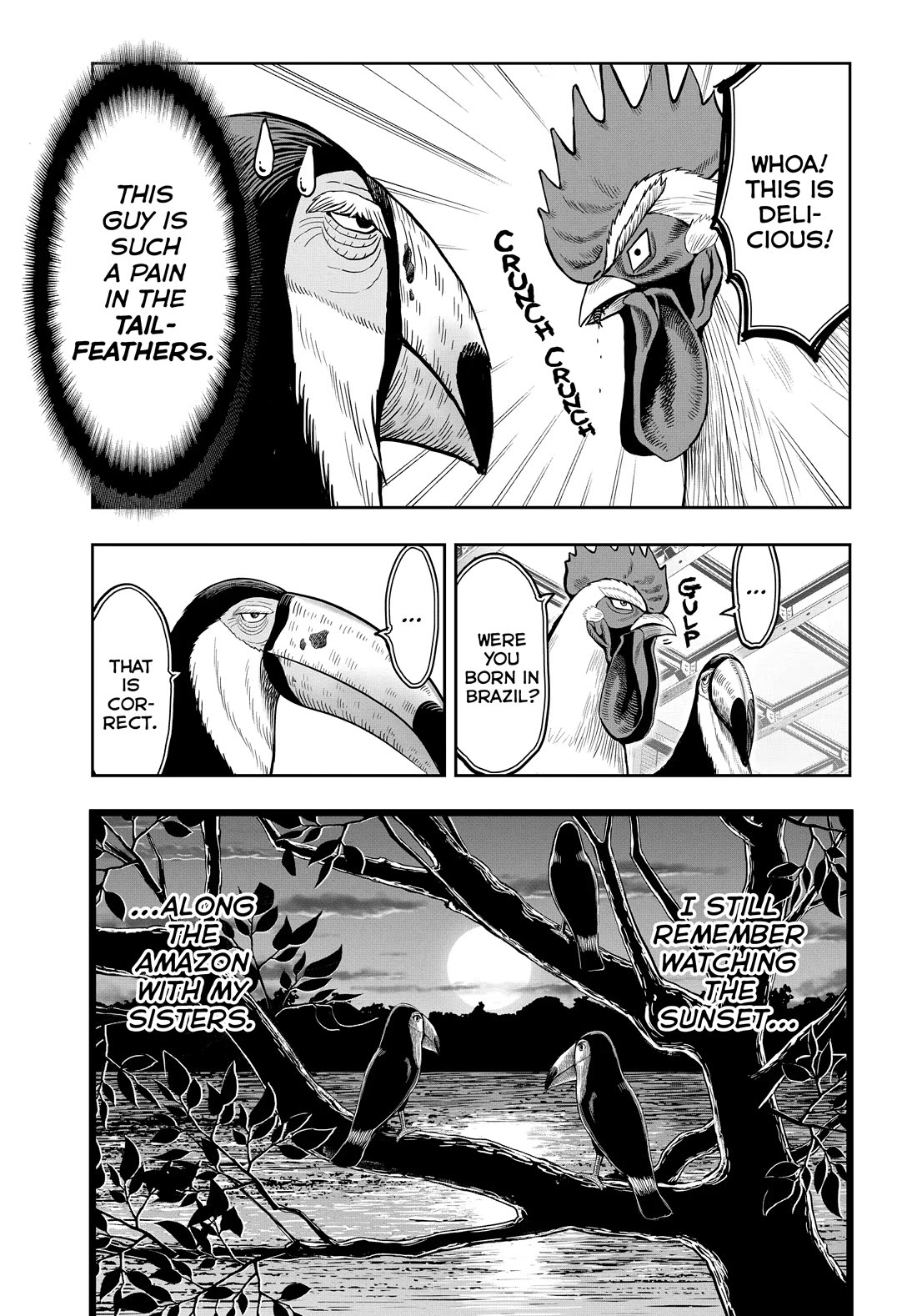 Rooster Fighter Chapter 3 page 13 - Chapter 3