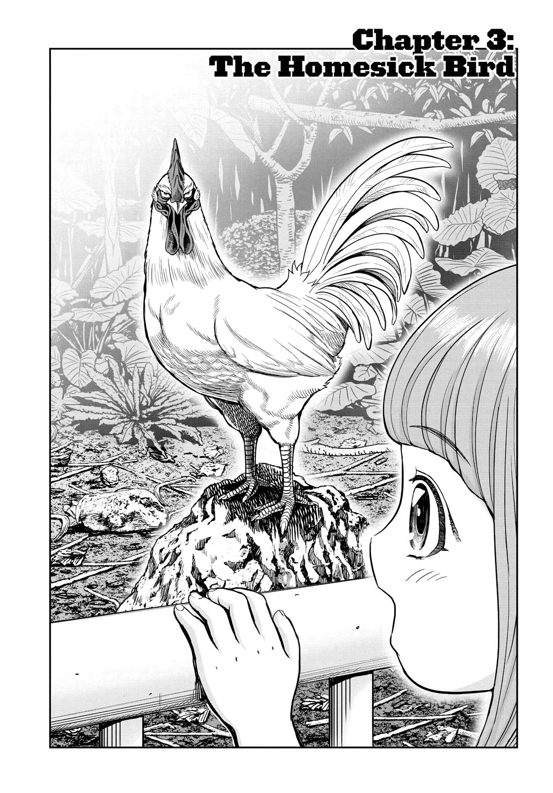 Rooster Fighter Chapter 3 page 2 - Chapter 3