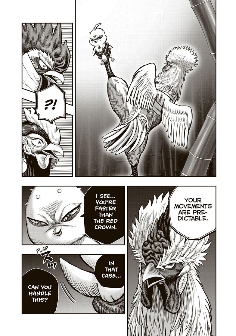 Rooster Fighter Chapter 33 page 15 - Chapter 33