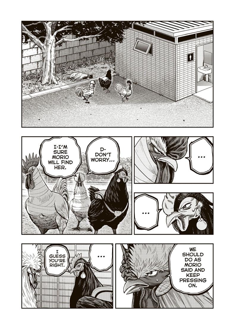 Rooster Fighter Chapter 34 page 12 - Chapter 34
