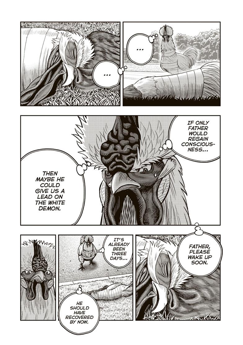 Rooster Fighter Chapter 34 page 13 - Chapter 34