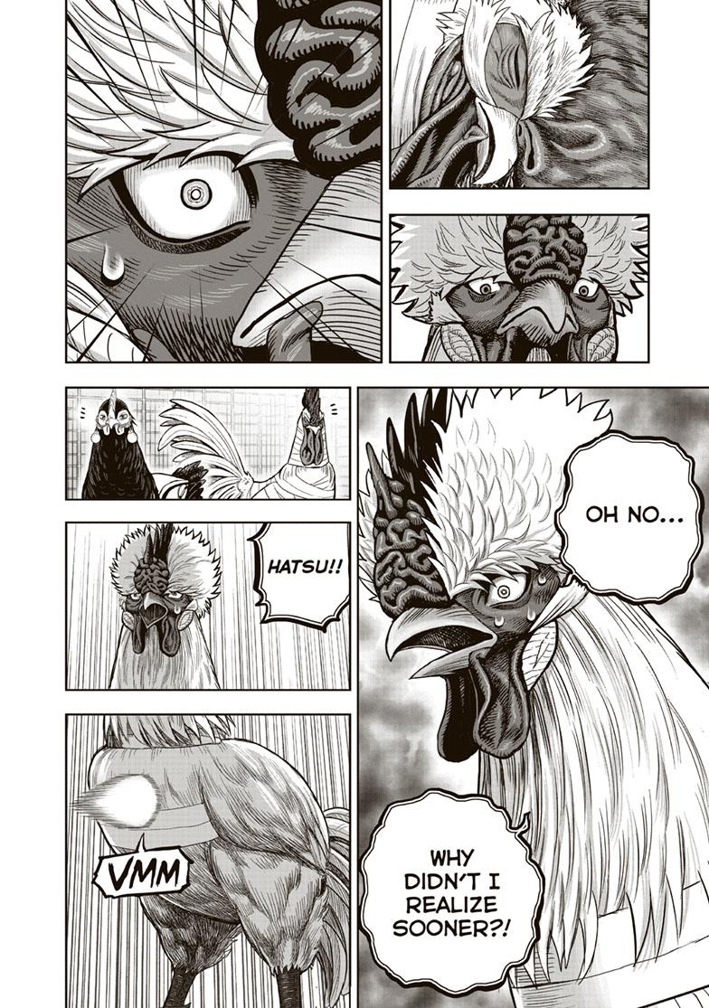 Rooster Fighter Chapter 34 page 14 - Chapter 34