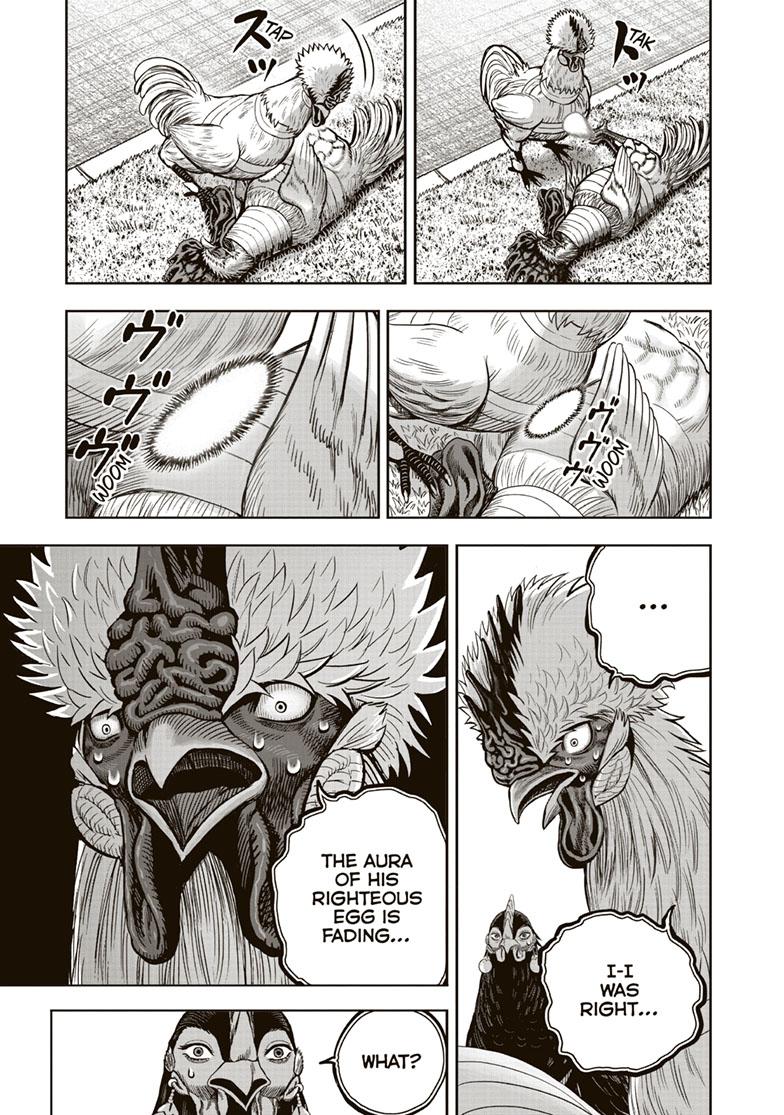 Rooster Fighter Chapter 34 page 15 - Chapter 34