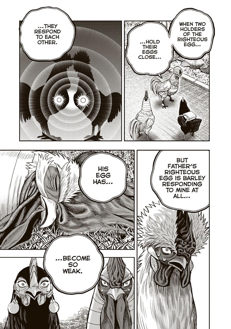 Rooster Fighter Chapter 34 page 17 - Chapter 34