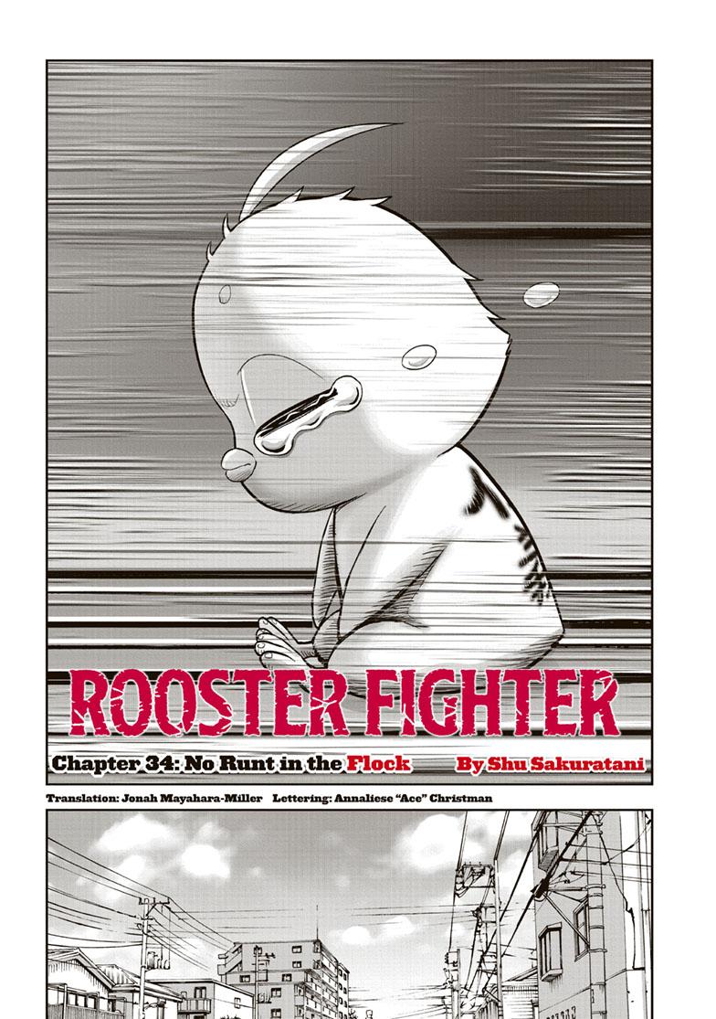 Rooster Fighter Chapter 34 page 2 - Chapter 34