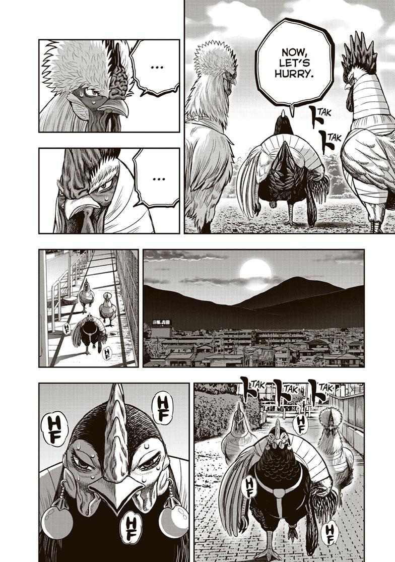 Rooster Fighter Chapter 35 page 8 - Chapter 35
