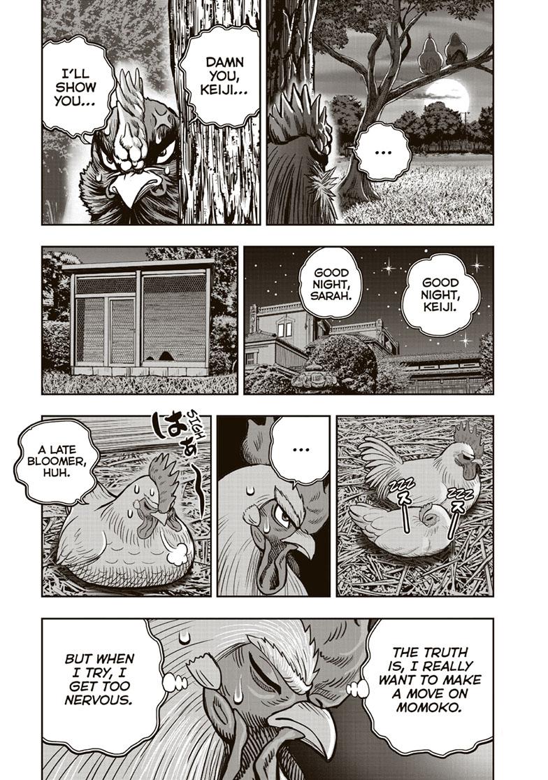 Rooster Fighter Chapter 36.5 page 11 - Chapter 36.5
