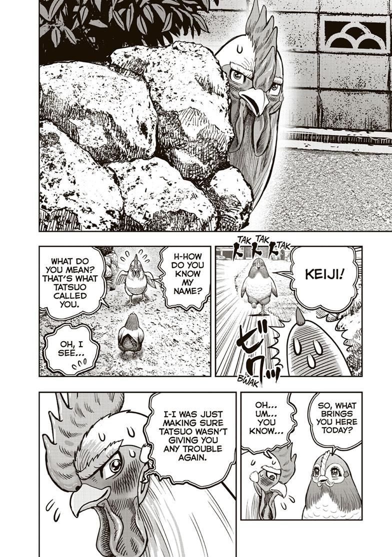 Rooster Fighter Chapter 36.5 page 6 - Chapter 36.5