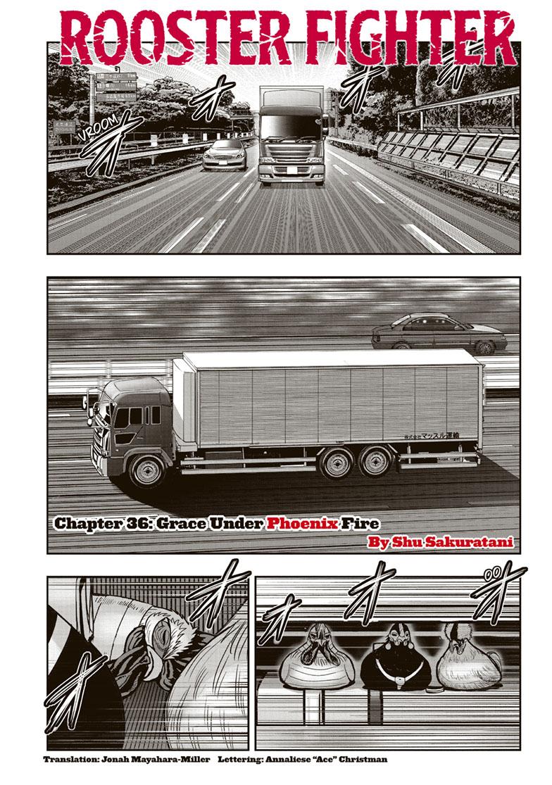 Rooster Fighter Chapter 36 page 1 - Chapter 36