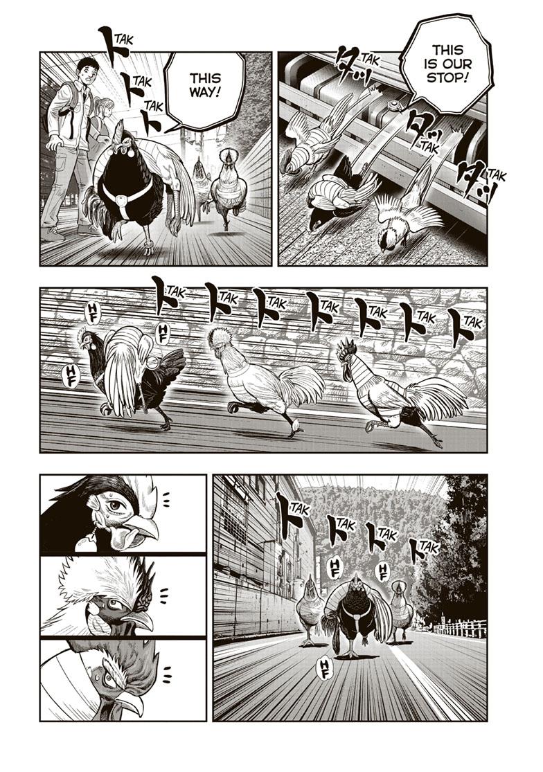 Rooster Fighter Chapter 36 page 15 - Chapter 36