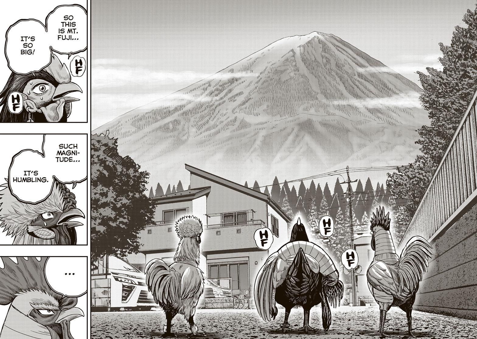 Rooster Fighter Chapter 36 page 16 - Chapter 36