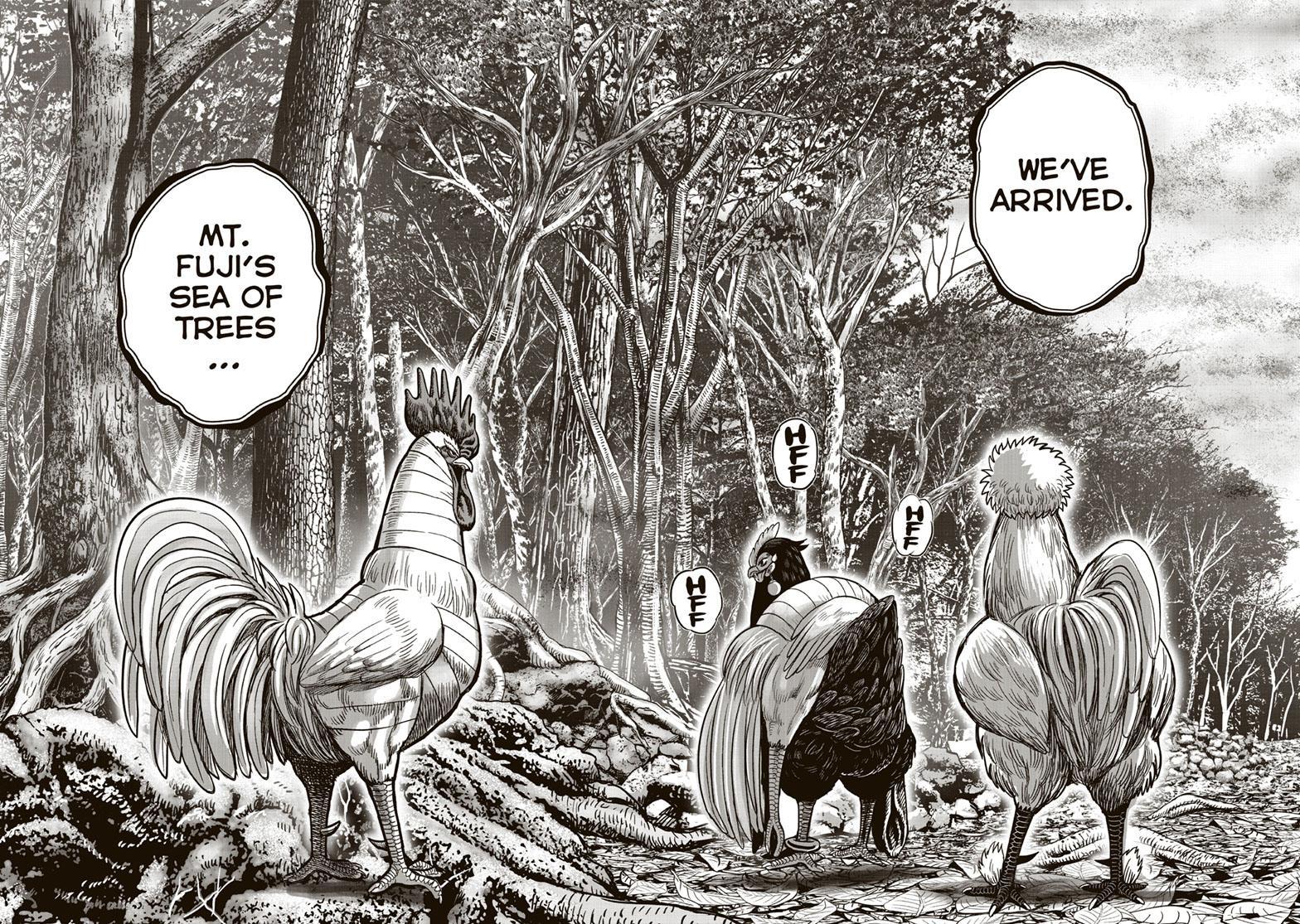 Rooster Fighter Chapter 36 page 23 - Chapter 36