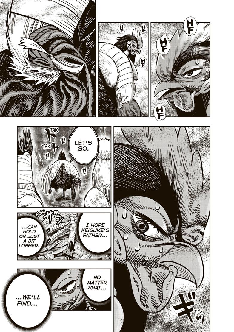Rooster Fighter Chapter 36 page 25 - Chapter 36