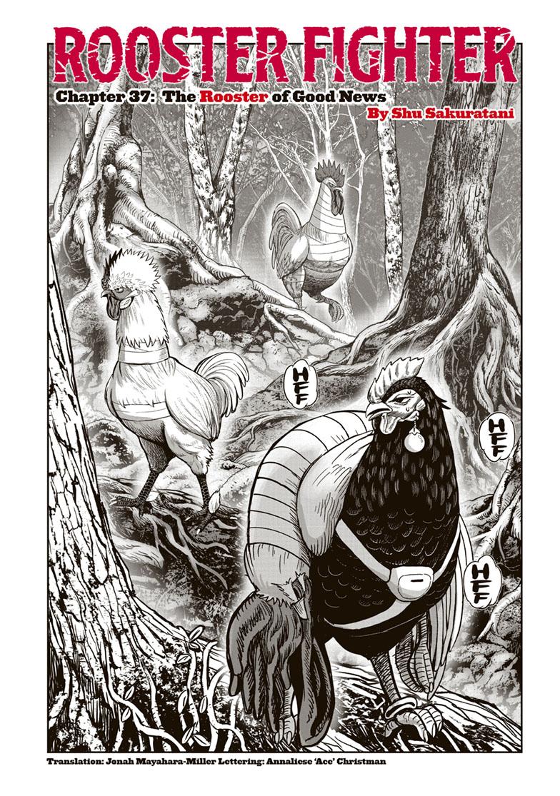 Rooster Fighter Chapter 37 thumbnail