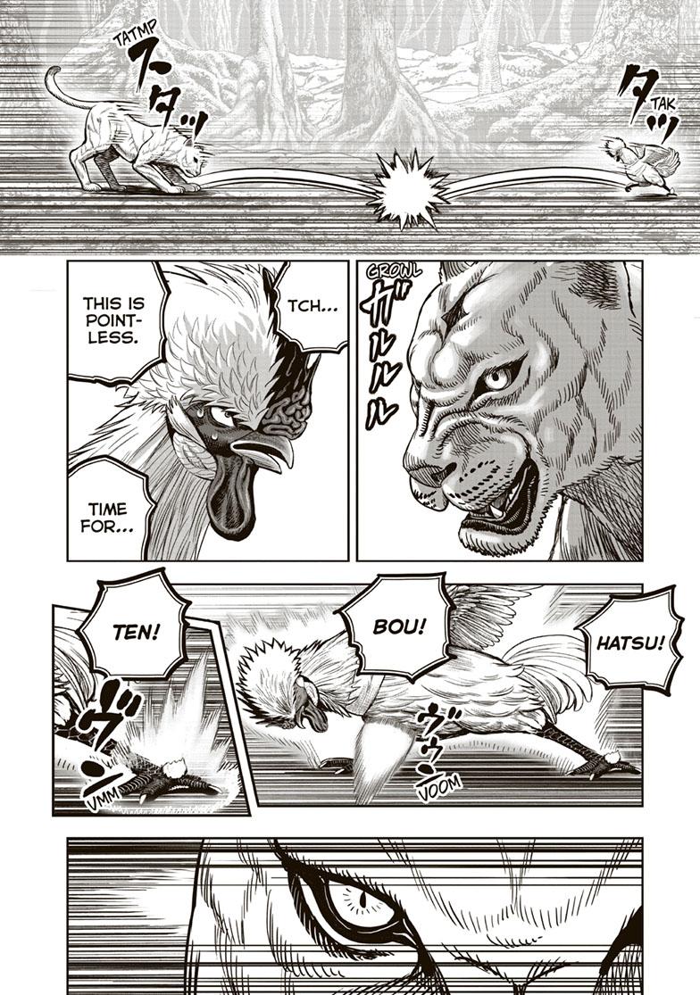 Rooster Fighter Chapter 37 page 32 - Chapter 37