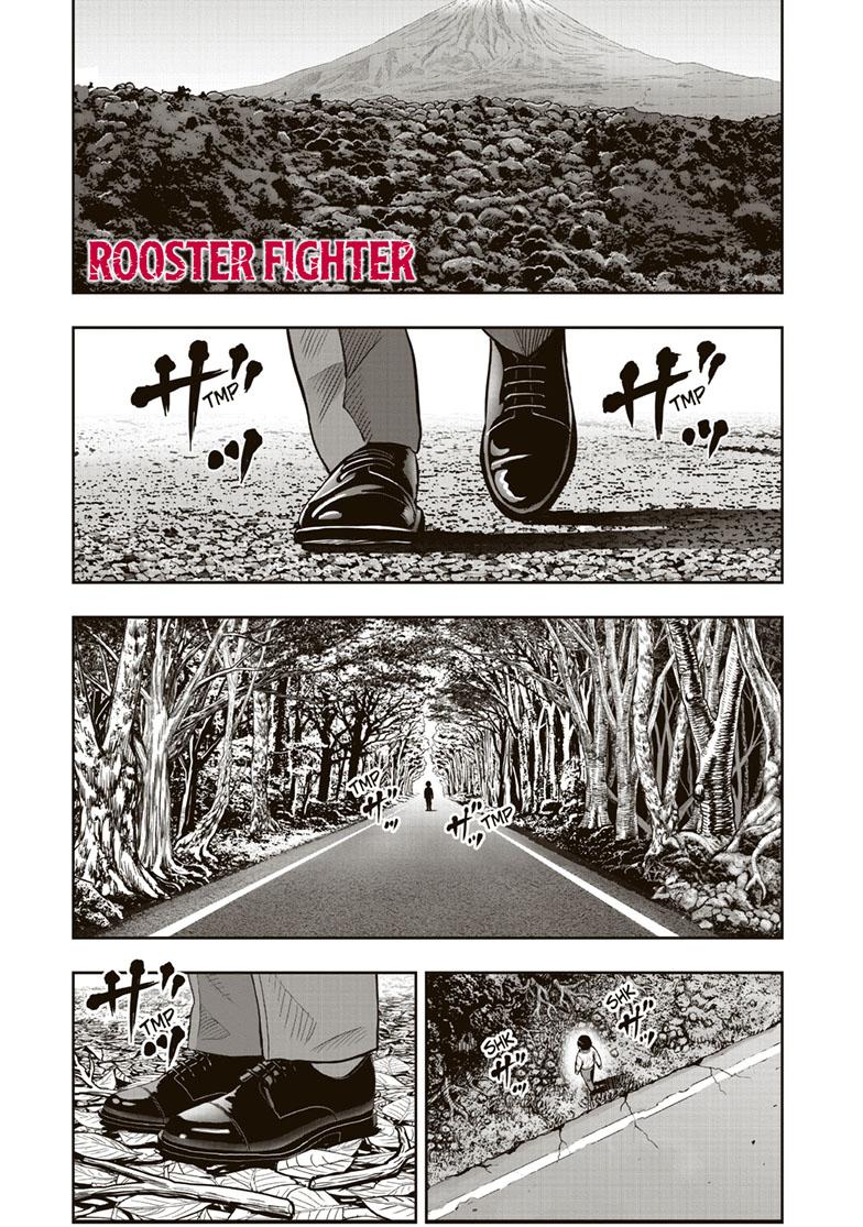 Rooster Fighter Chapter 38 thumbnail