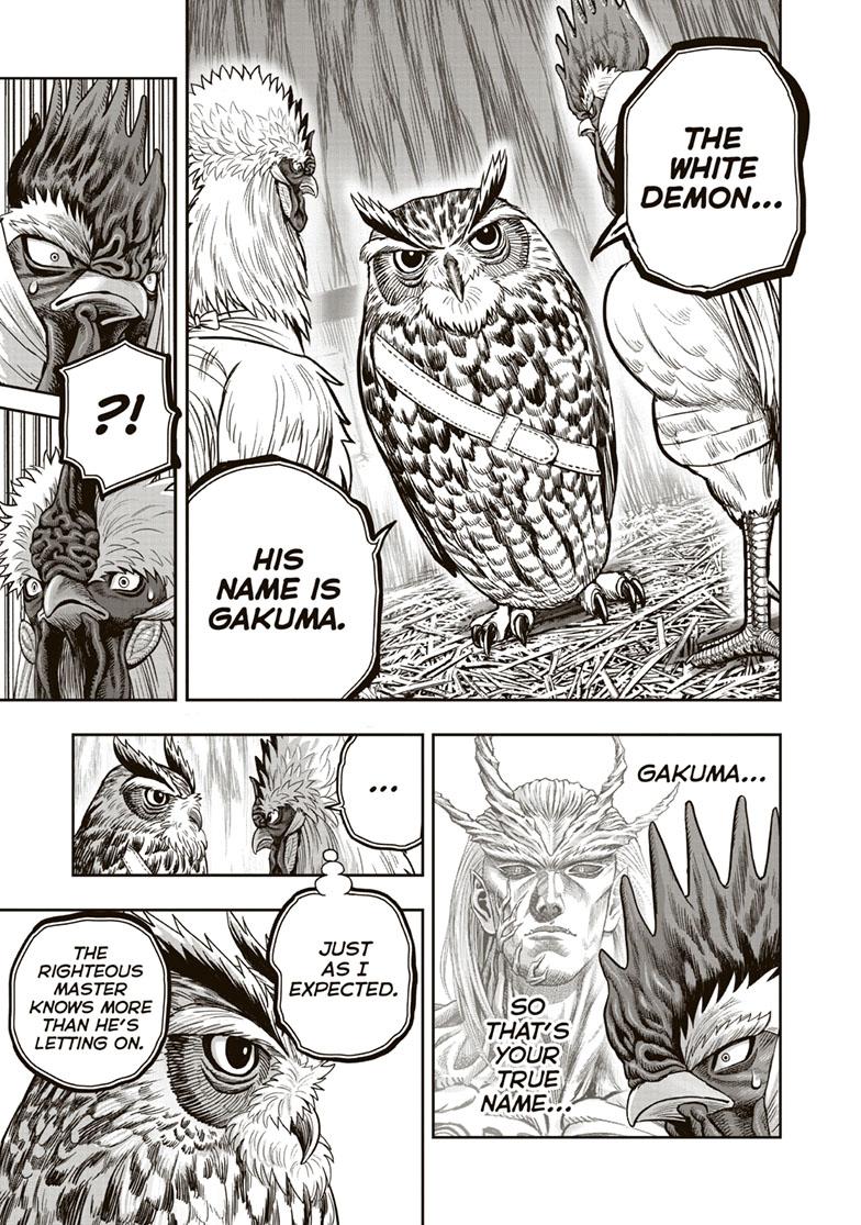 Rooster Fighter Chapter 38 page 17 - Chapter 38