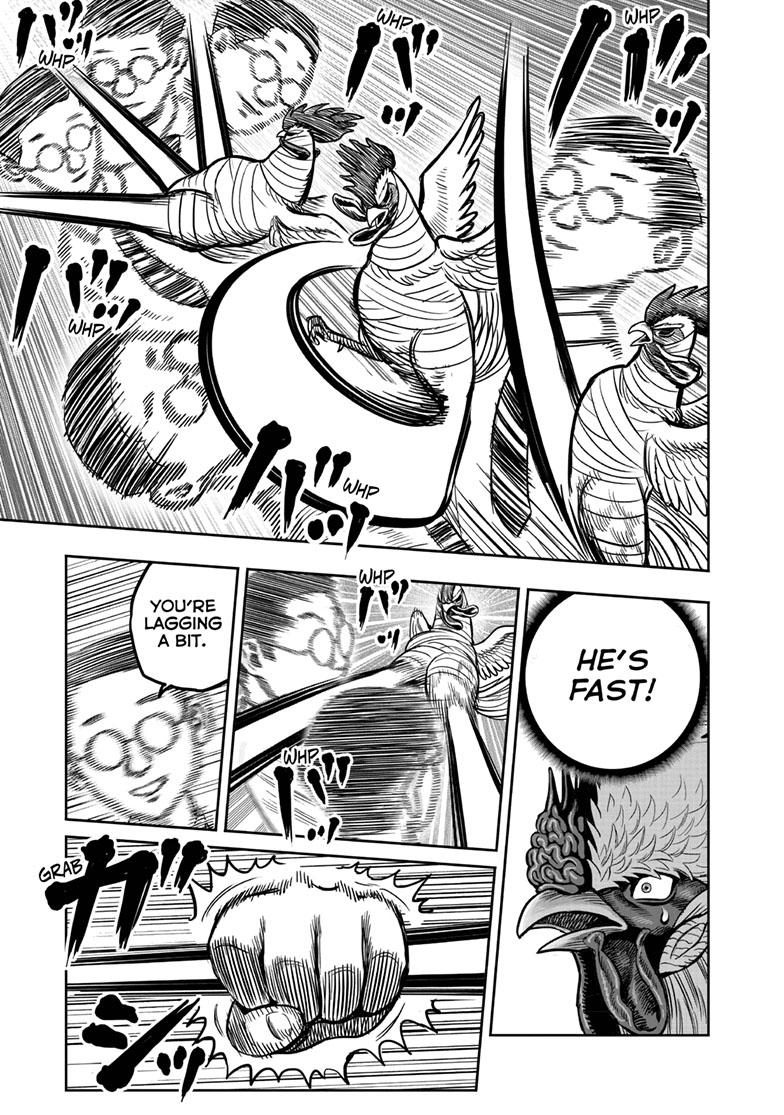 Rooster Fighter Chapter 39 page 15 - Chapter 39