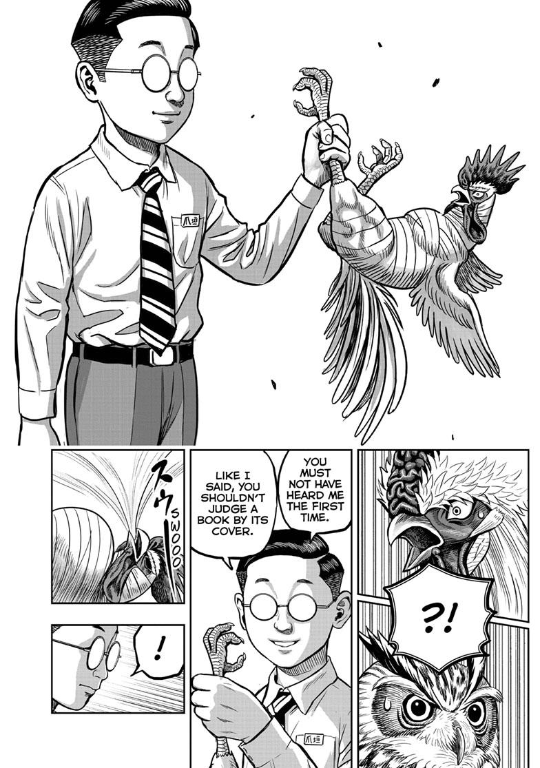 Rooster Fighter Chapter 39 page 16 - Chapter 39