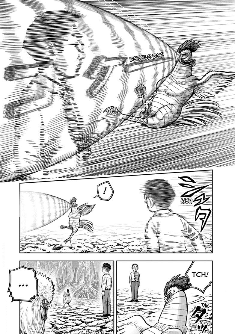 Rooster Fighter Chapter 39 page 17 - Chapter 39