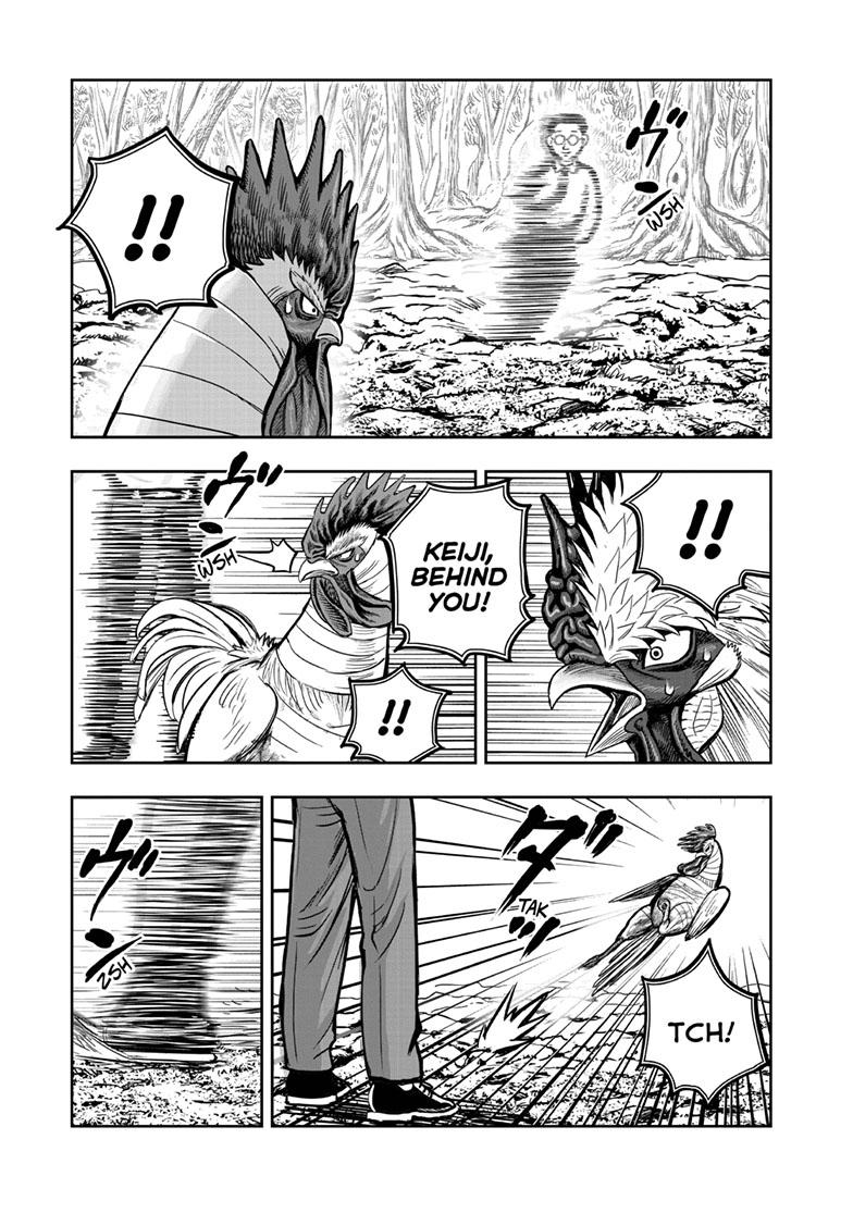 Rooster Fighter Chapter 39 page 19 - Chapter 39