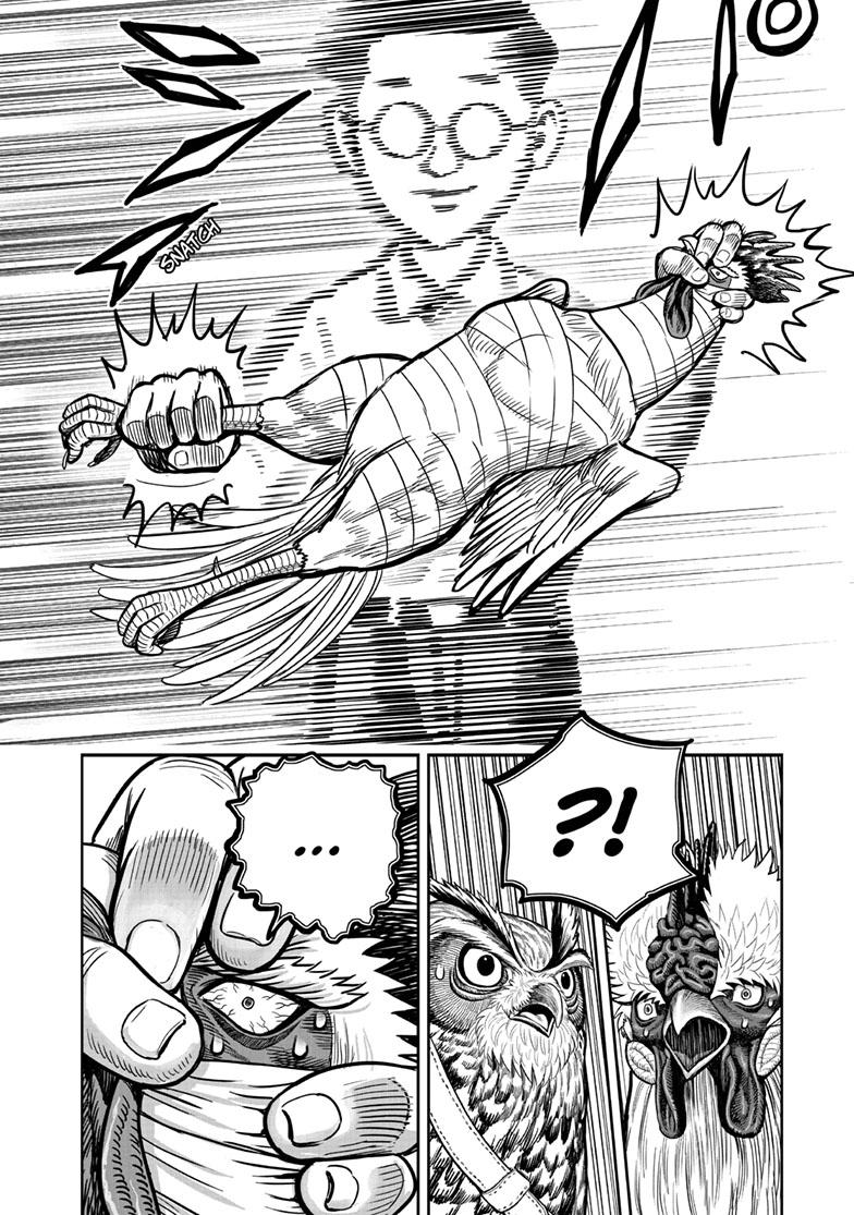 Rooster Fighter Chapter 39 page 20 - Chapter 39