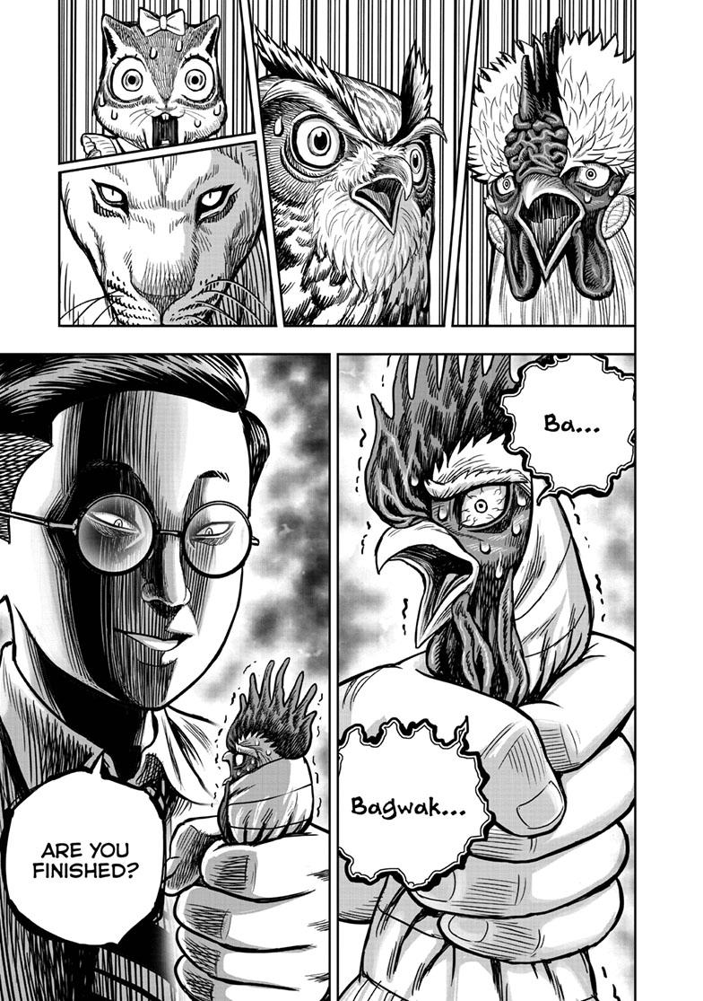 Rooster Fighter Chapter 39 page 37 - Chapter 39
