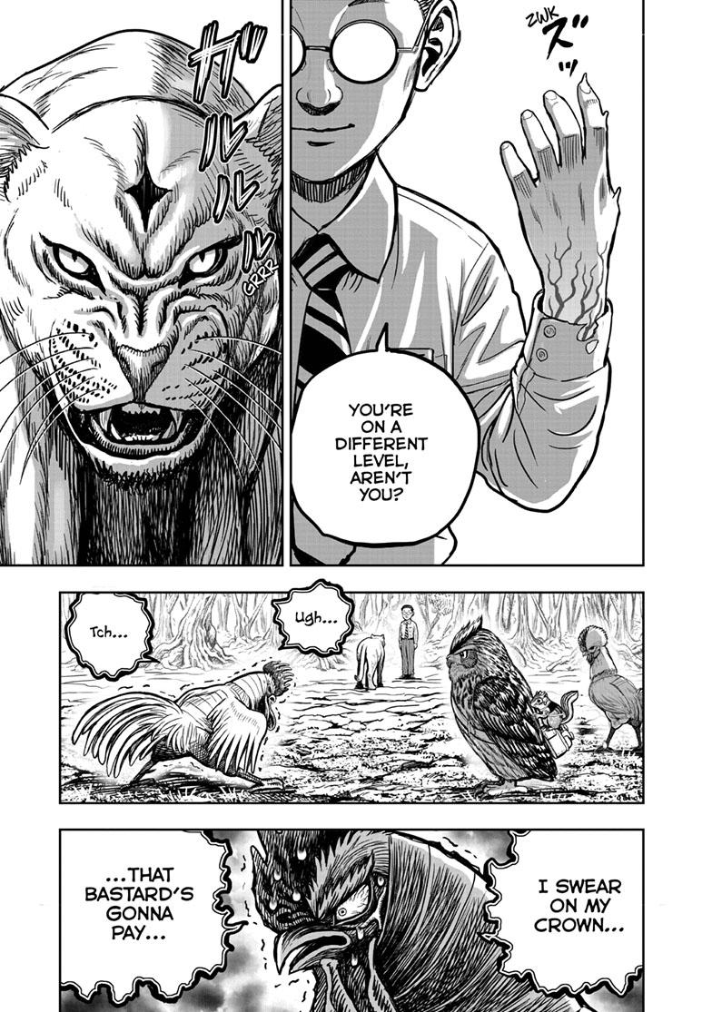 Rooster Fighter Chapter 39 page 41 - Chapter 39
