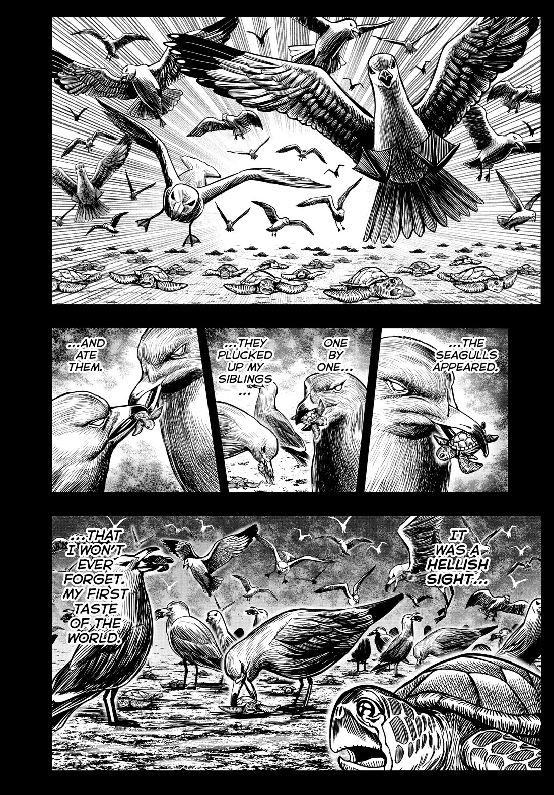 Rooster Fighter Chapter 4 page 22 - Chapter 4